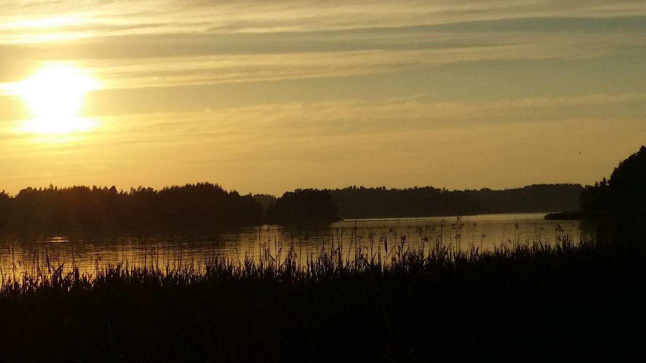 summer, sun, nature, e, sunset